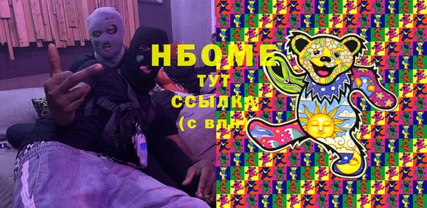 прущие грибы Балабаново