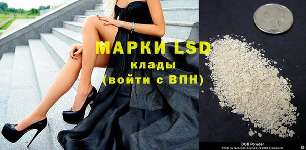 прущие грибы Балабаново