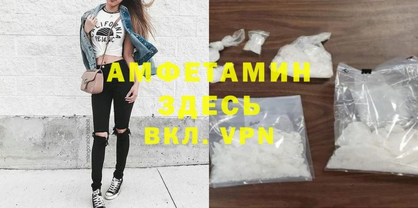 прущие грибы Балабаново