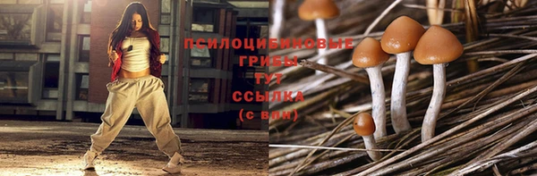 стафф Баксан
