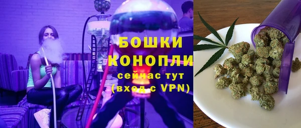 прущие грибы Балабаново