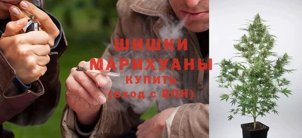 прущие грибы Балабаново