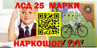 Альфа ПВП Бийск