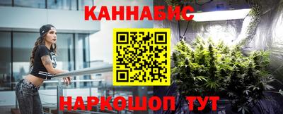 Альфа ПВП Бийск