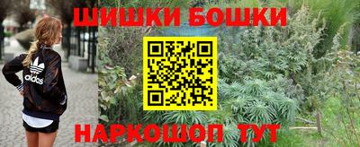 Альфа ПВП Бийск