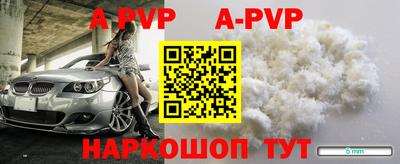 молекула духа Берёзовский