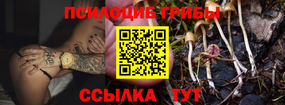 Галлюциногенные грибы GOLDEN TEACHER Верхний Уфалей